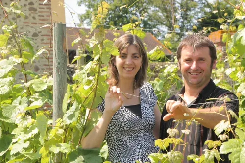 Apéro vigneron bio, au domaine Clos Basté
