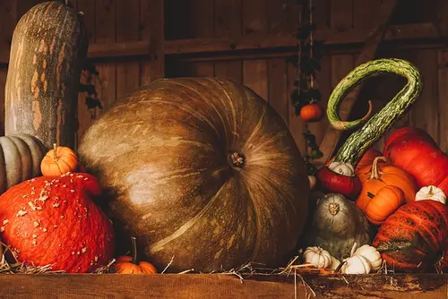 Repas d'automne par Saint-Quentin Loisirs