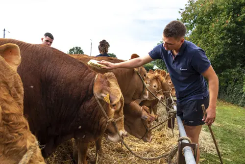 Comice agricole, Château-Chervix en fête!