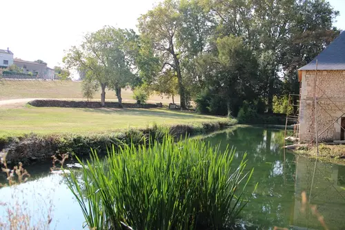 Festival Au Fil du Thouet : Un après-midi au bord du Thouet