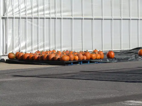 Halloween avec l'Office de Tourisme