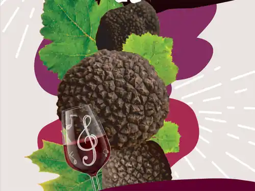 LES AMPÉLOFOLIES DU CABARDÈS - TRUFFE ET VIN