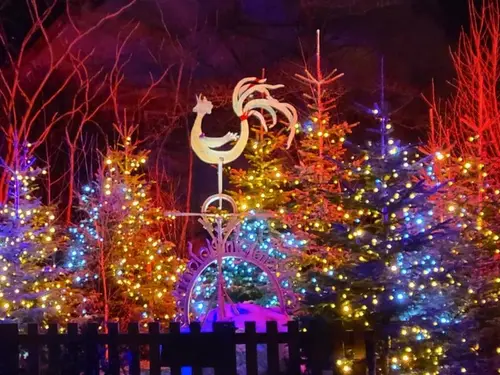 Lancement des illuminations de Noël