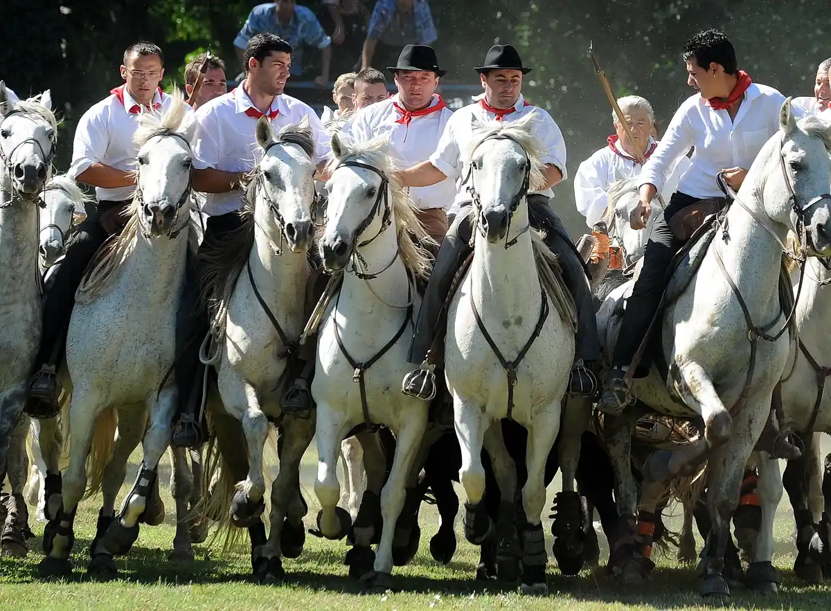 Fêtes de la Madeleine de Beaucaire