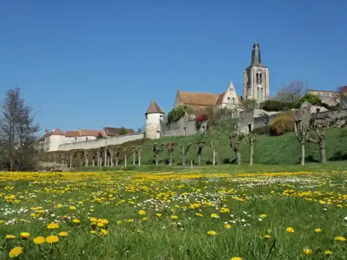 Fête de la Saint-Aignan