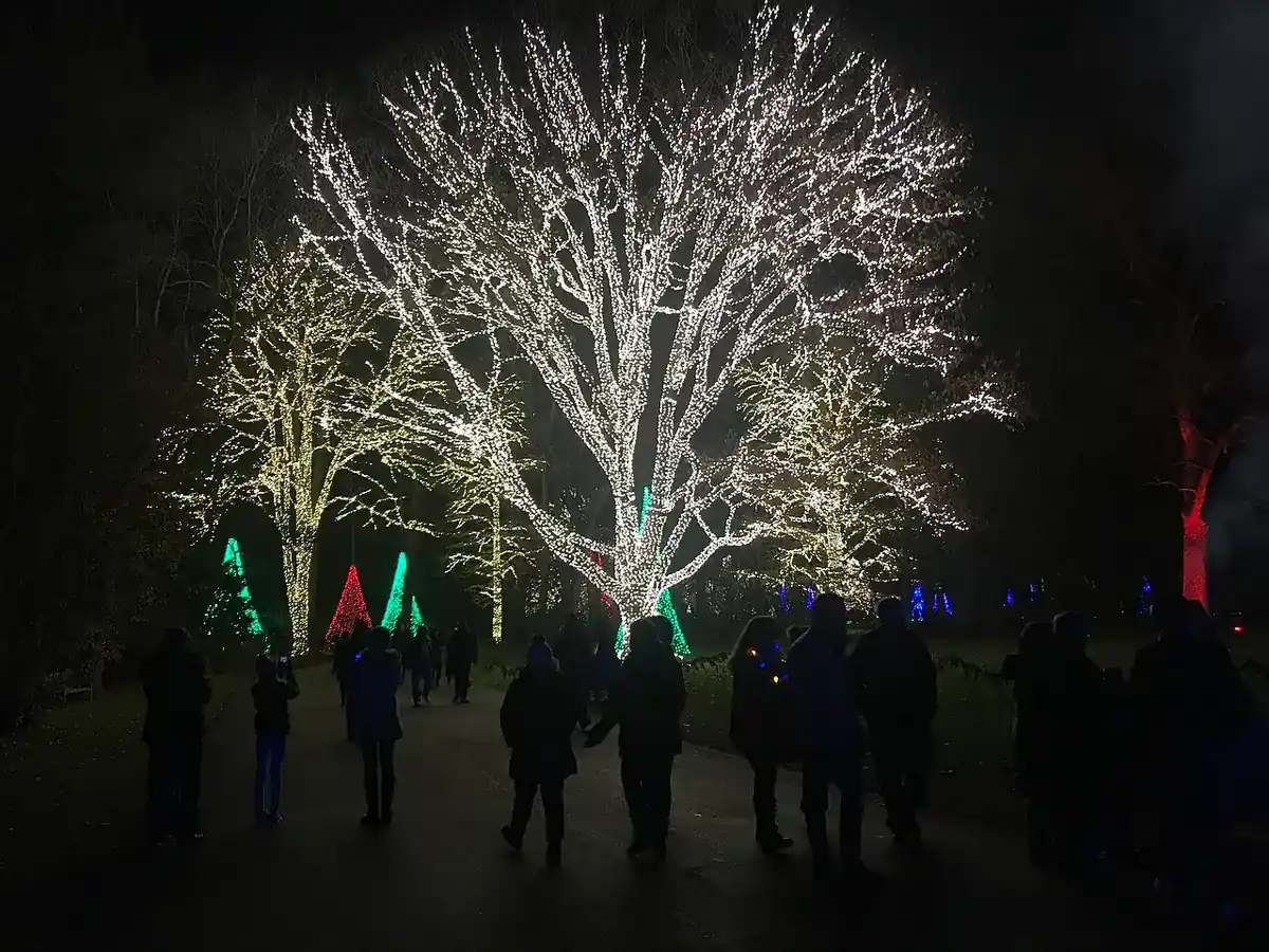 Winterlights