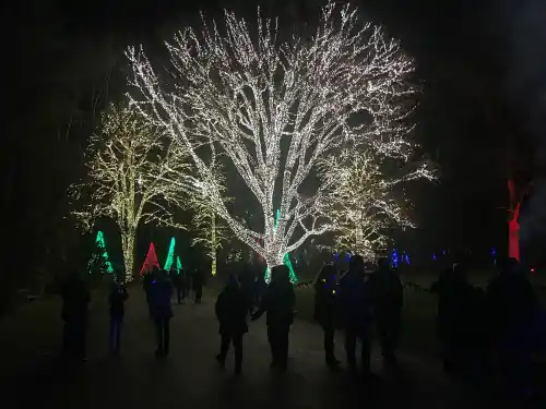 Winterlights