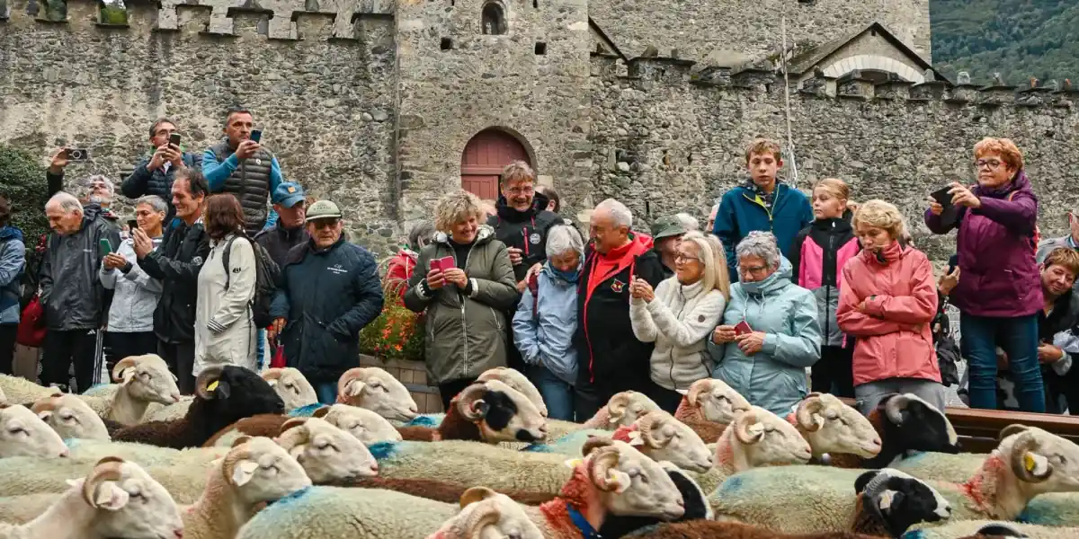 Foire aux côtelettes