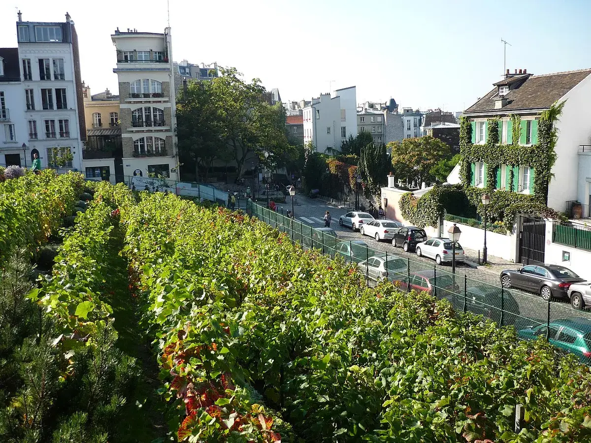 Fête des Vendanges de Montmartre
