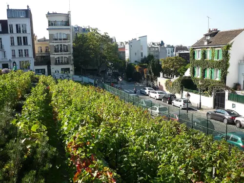 Fête des Vendanges de Montmartre