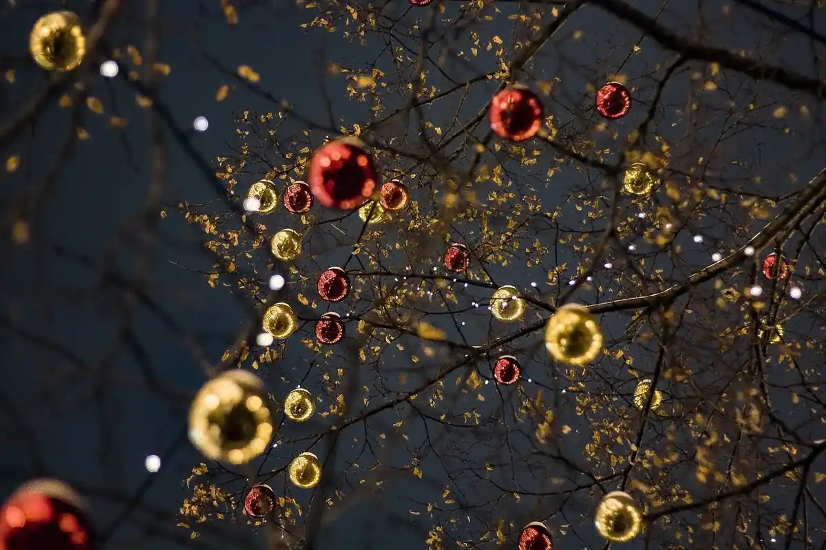 Décoration des sapins de Noël