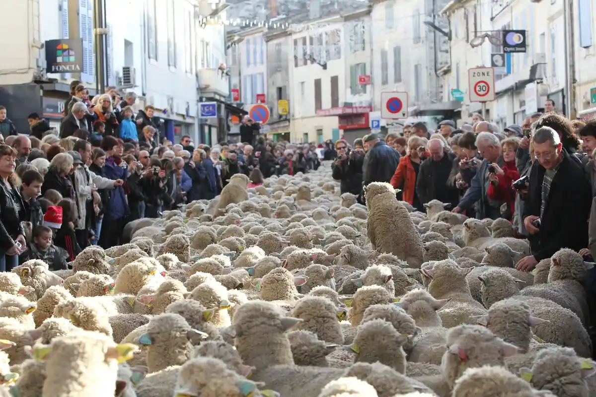 Fête des Bergers et des Traditions