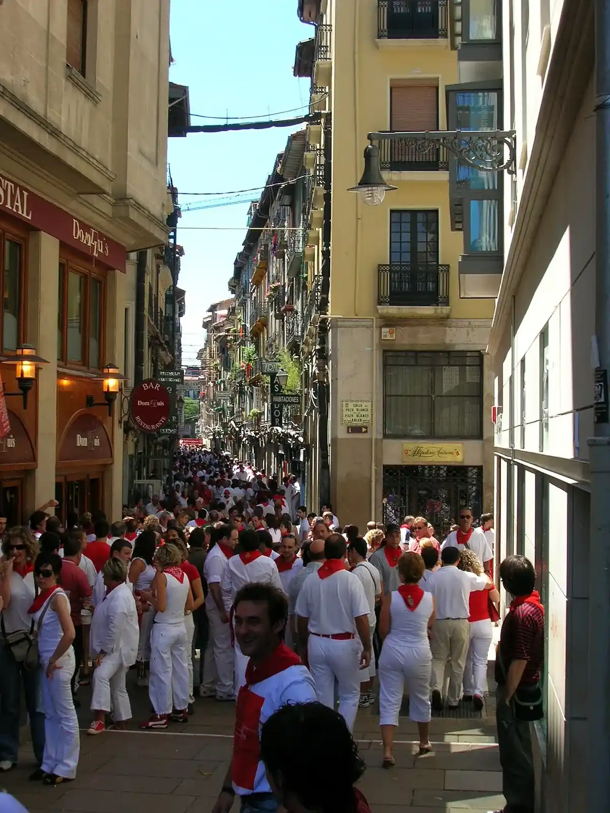 Sanfermines (Fêtes de San Fermín)