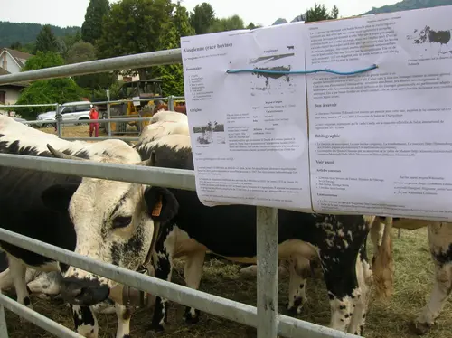 Comice agricole de Brûlon