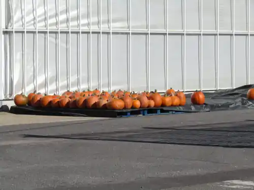 Halloween avec l'Office de Tourisme