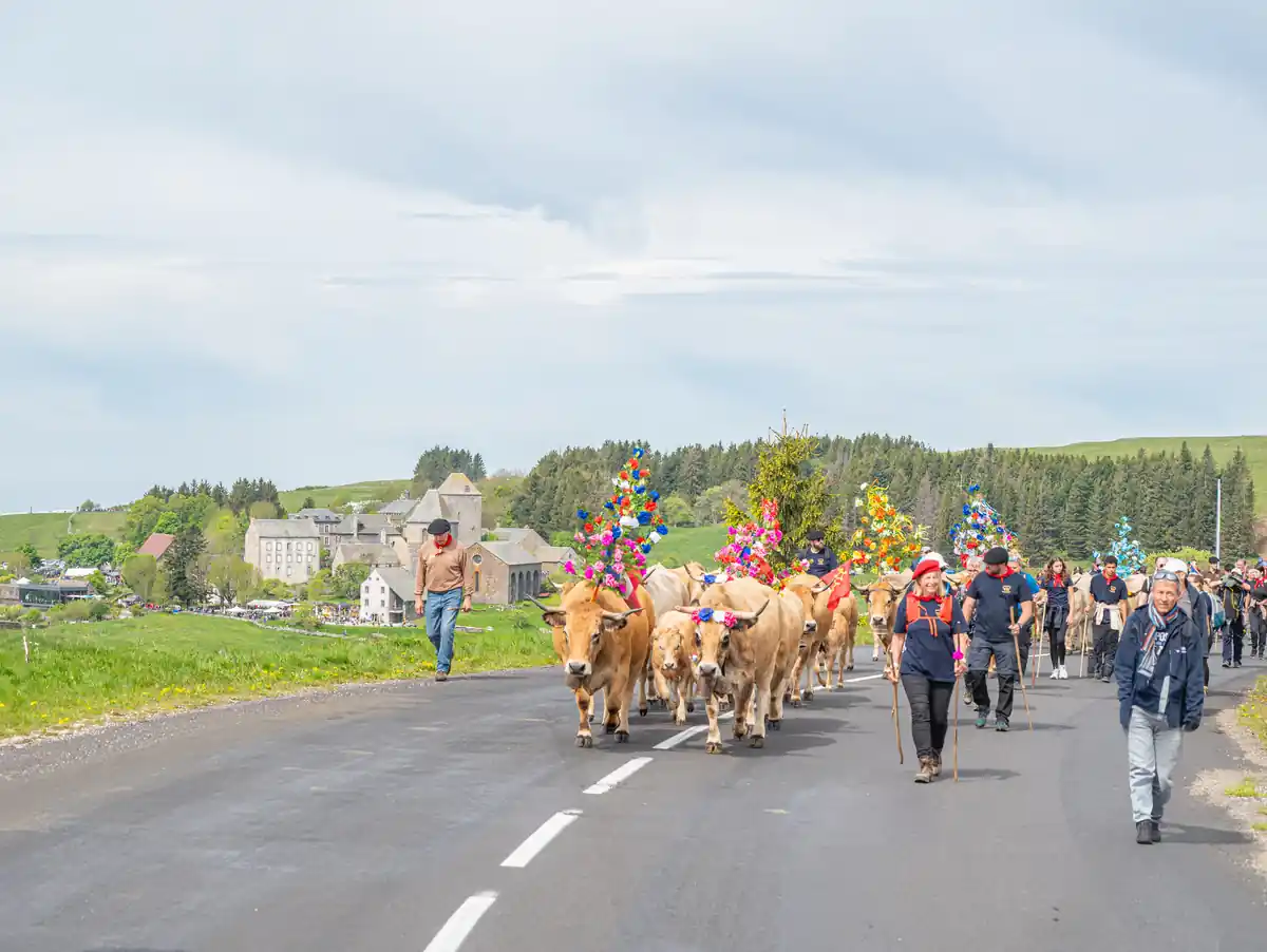 Fête de la Transhumance en Aubrac