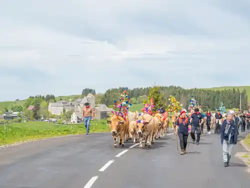 Fête de la Transhumance en Aubrac