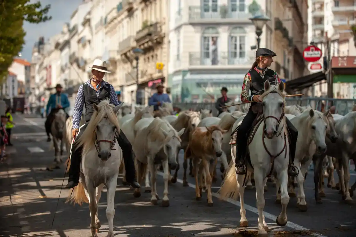 Féria de Béziers