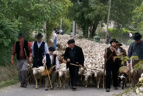 Fête de la Transhumance